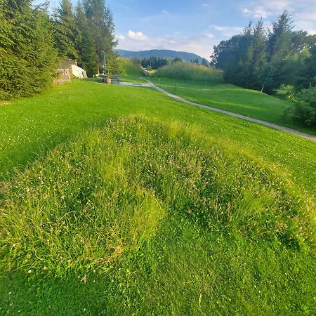 Topolej - Etno Ustroň