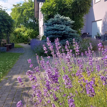 Topolej - Etno Chata Bed & Breakfast *