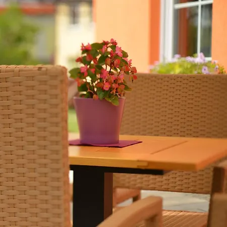 Topolej - Etno 3* 우스트론